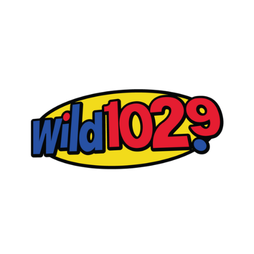 Wild 102.9 logo, representing a leading FM radio station known for promoting new music and emerging artists.