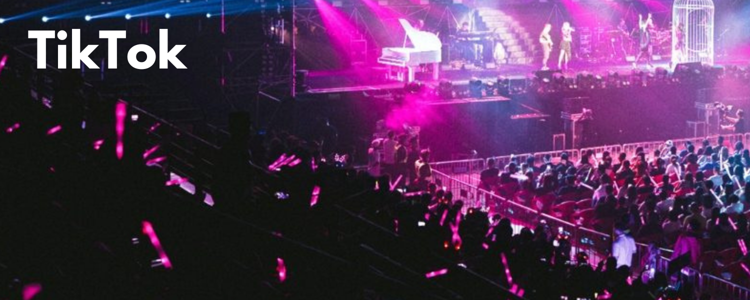 "TikTok music marketing service for independent artists"